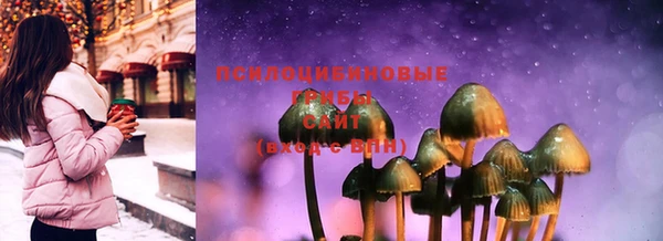Альфа ПВП Нягань