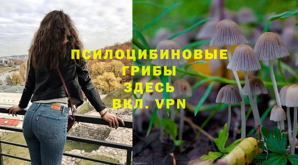 mdpv Новозыбков