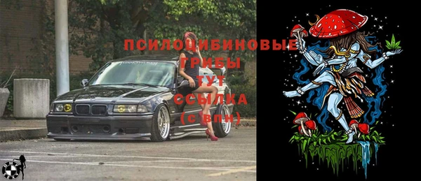 a pvp Няндома