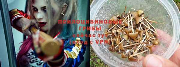 mdpv Новокубанск